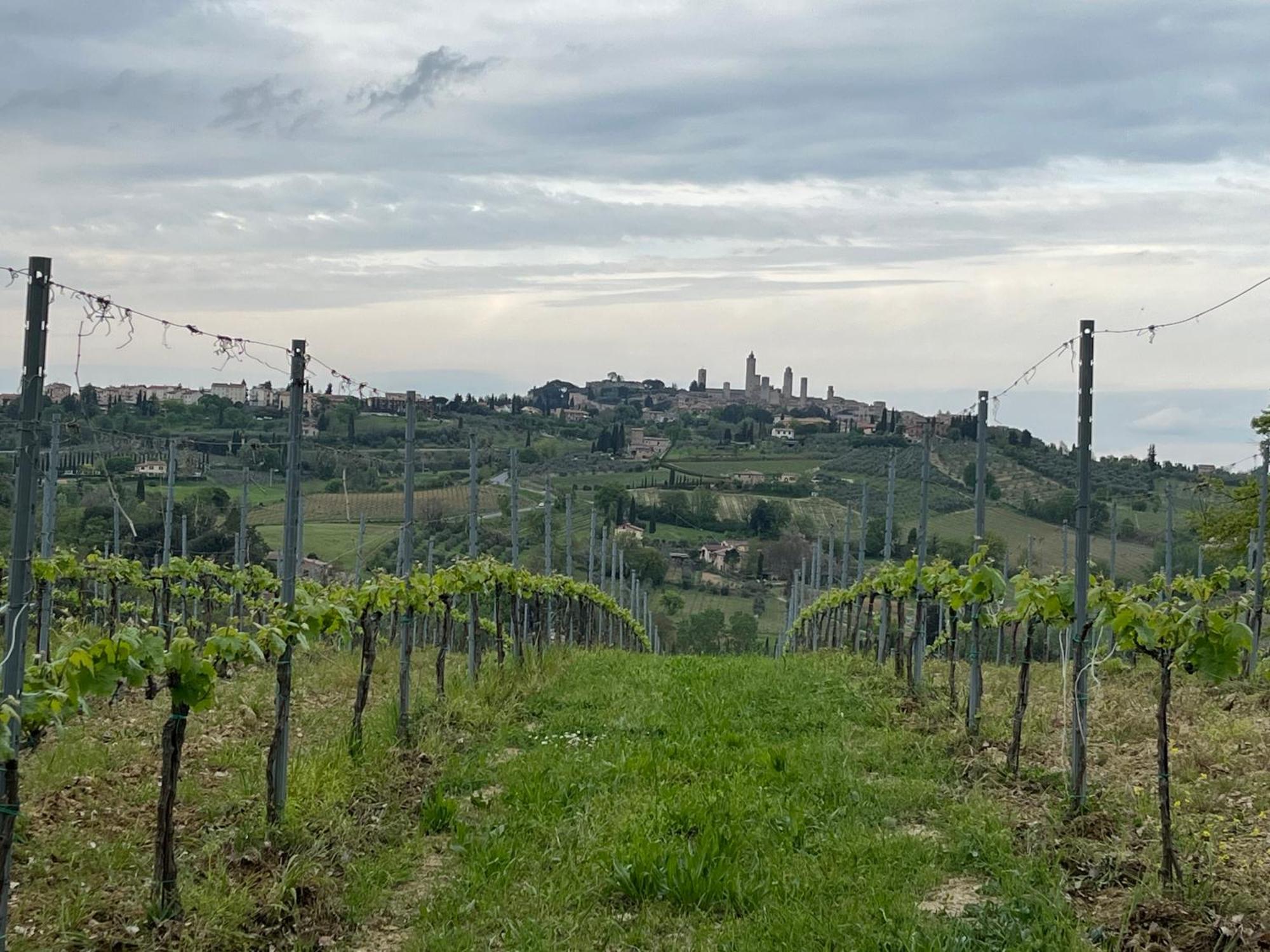 Podere Casanuova San Gimignano Kültér fotó