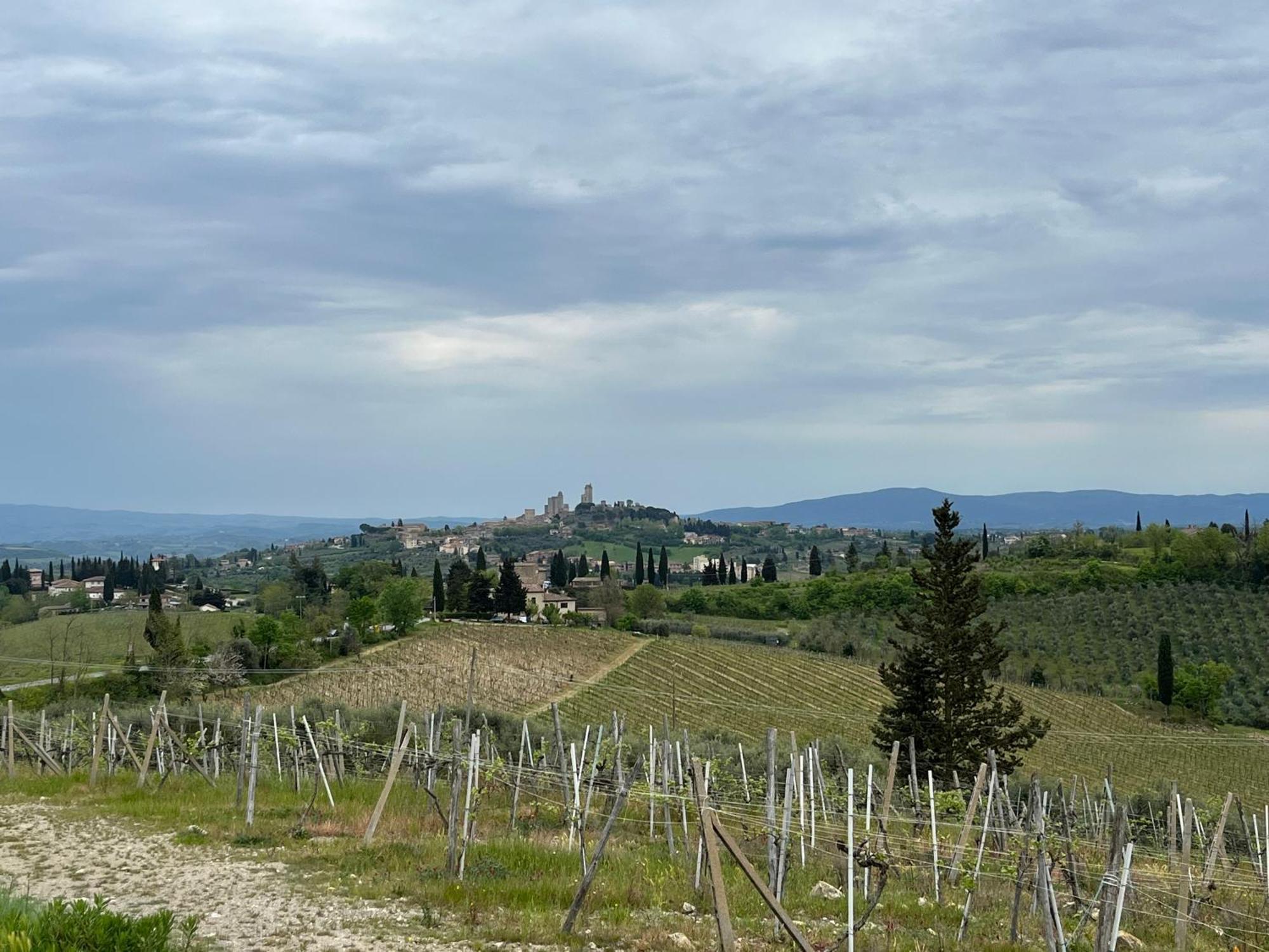 Podere Casanuova San Gimignano Kültér fotó