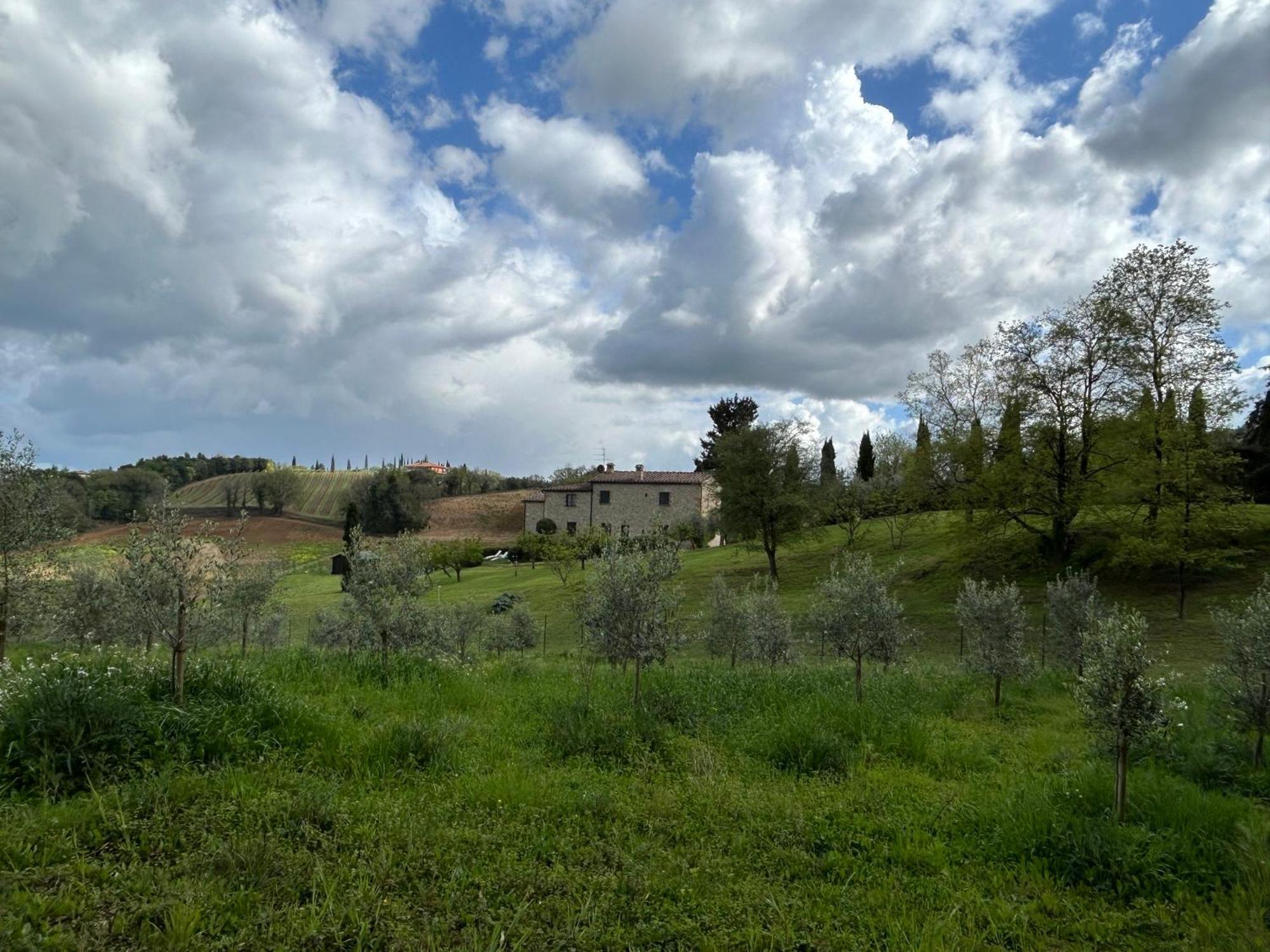 Podere Casanuova San Gimignano Kültér fotó
