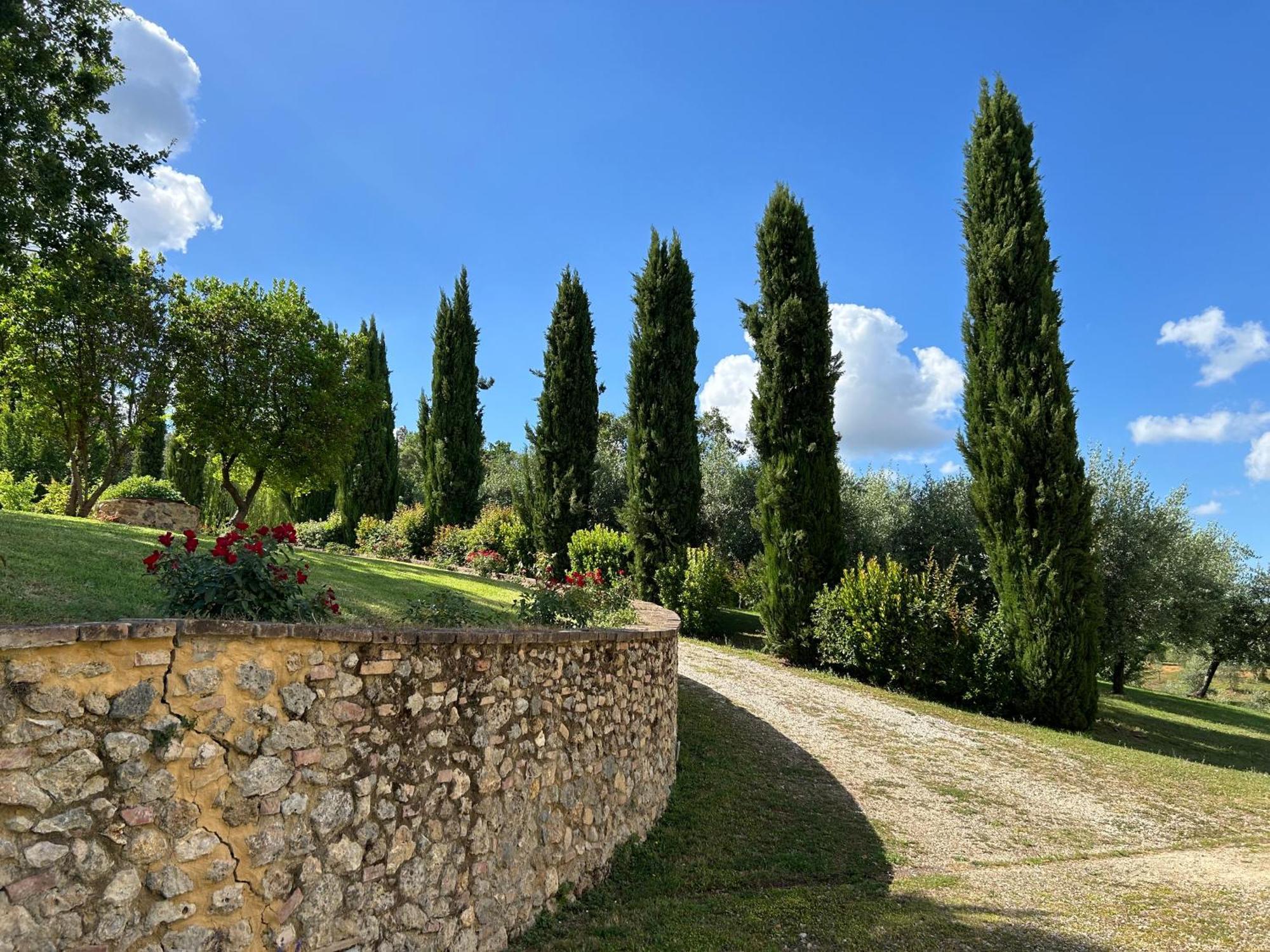Podere Casanuova San Gimignano Kültér fotó