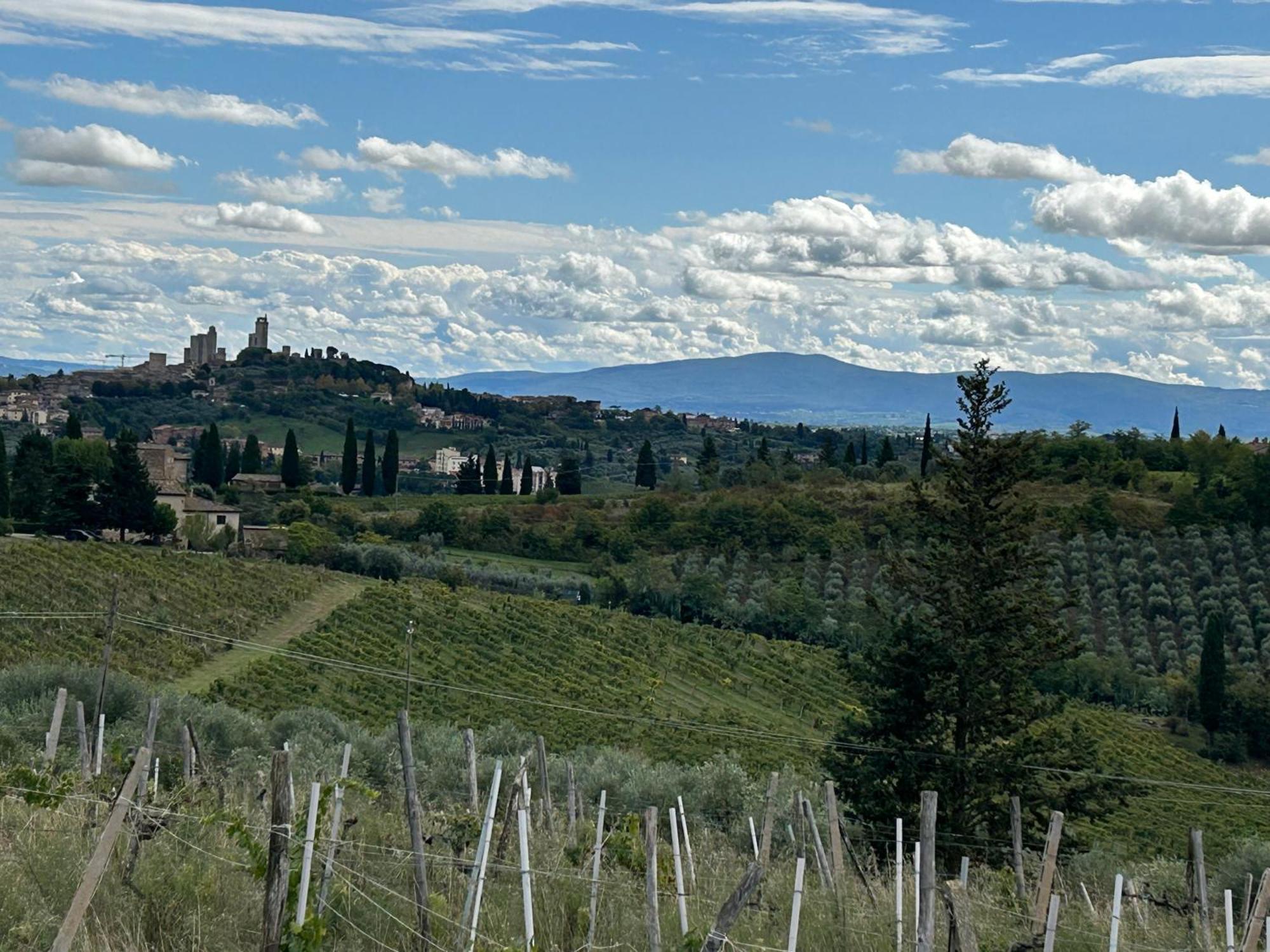 Podere Casanuova San Gimignano Kültér fotó