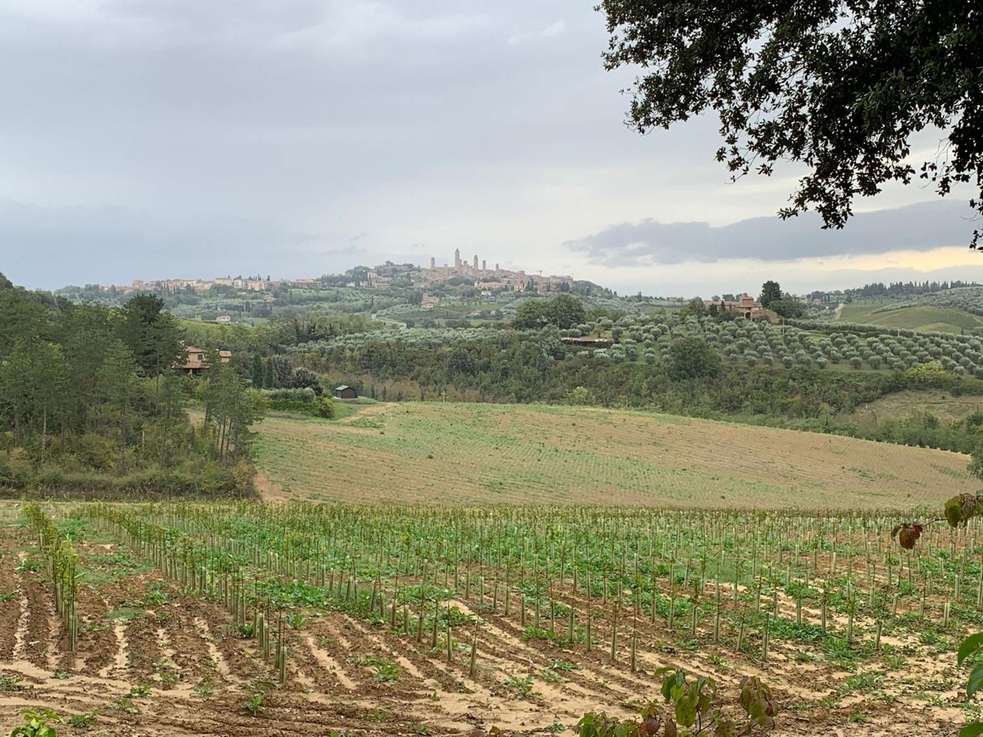 Podere Casanuova San Gimignano Kültér fotó
