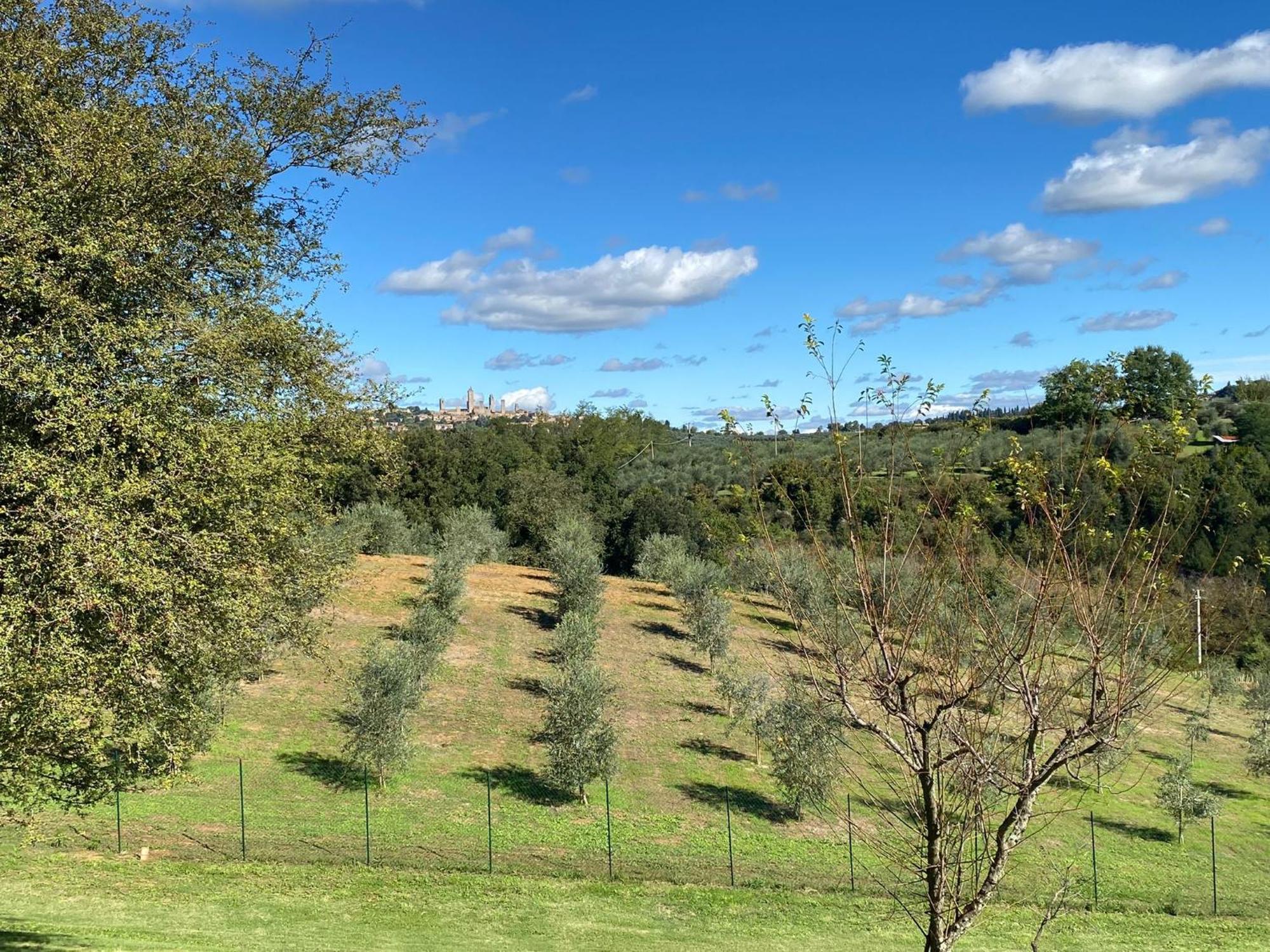 Podere Casanuova San Gimignano Kültér fotó