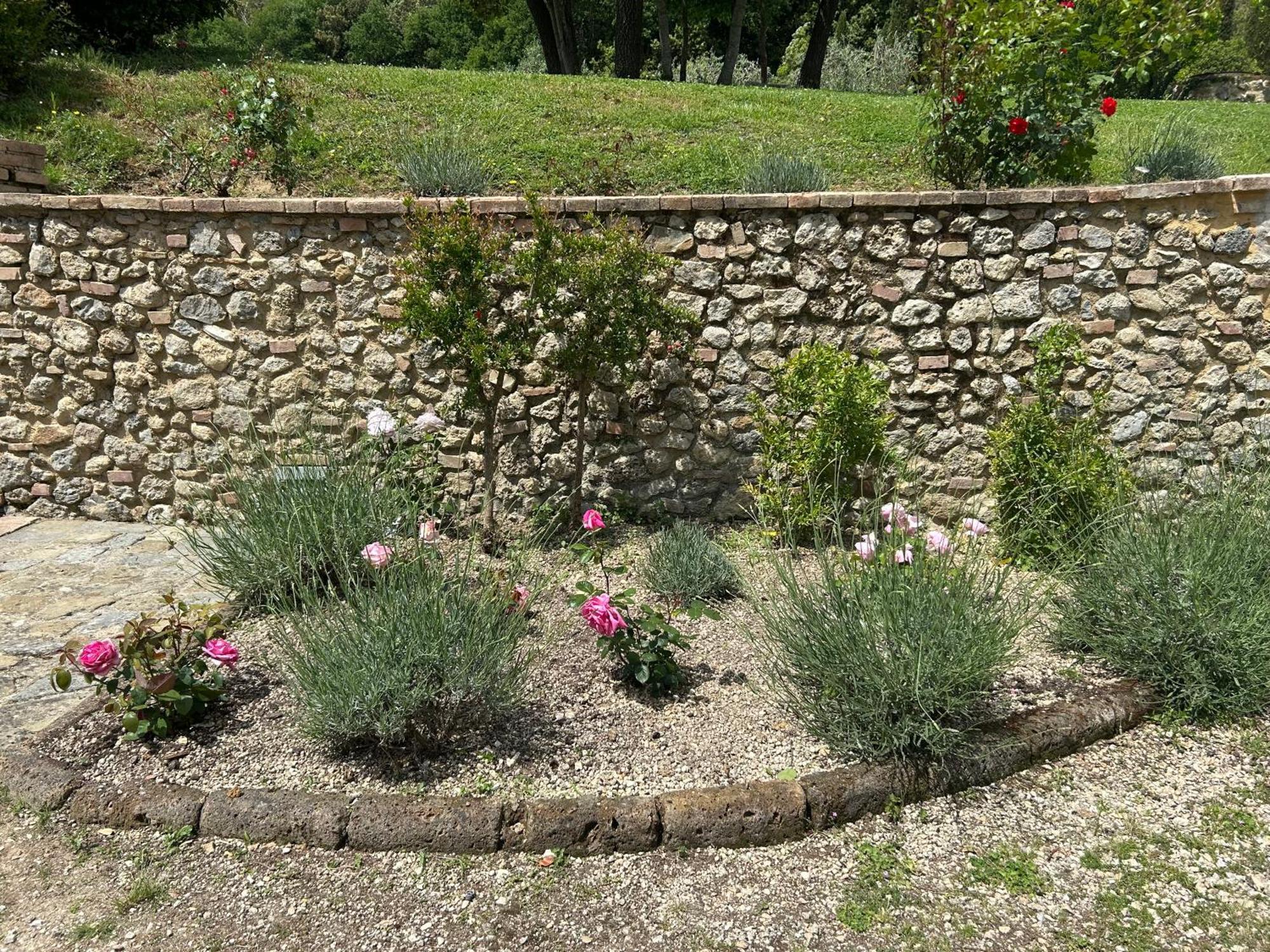 Podere Casanuova San Gimignano Kültér fotó